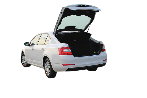 Free Trunk Automobile photo and picture