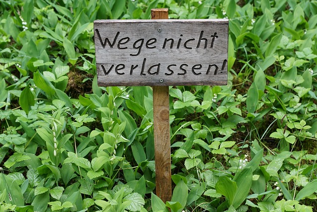 Free Sign Path photo and picture