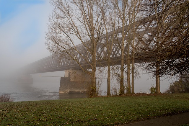 Urmitz, Brücke, Nebel, Fluss