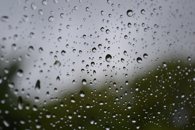 Free Rain Raindrops photo and picture