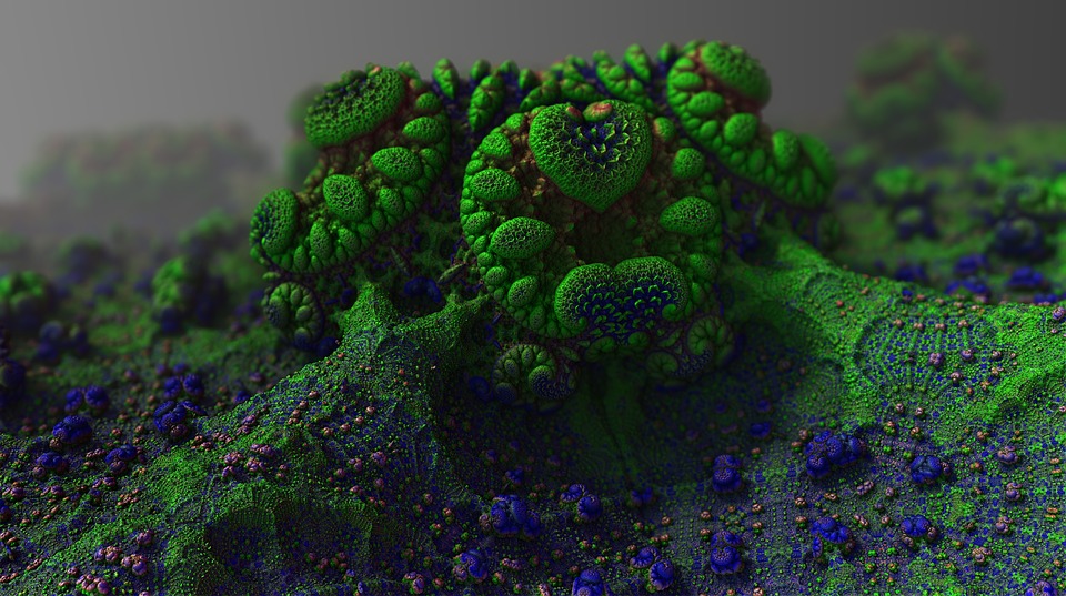 Mold, Growth, Fungus, Microorganism, Mildew