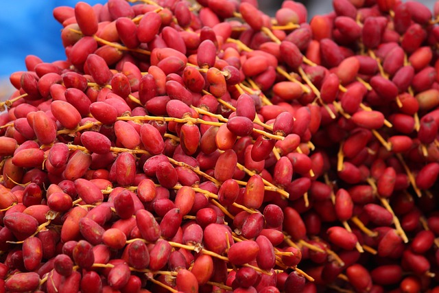 Free Fresh Red photo and picture
