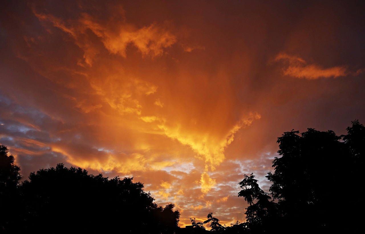 Sunrise East Sky Free photo on Pixabay