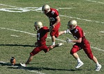 football, american football, football team