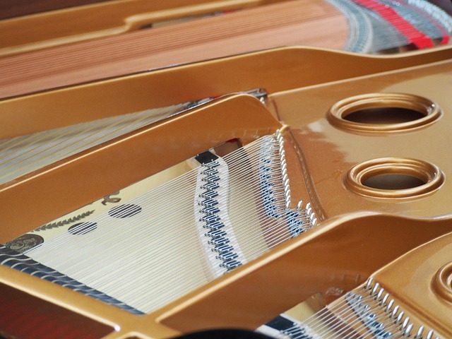 Free Piano Instrument photo and picture