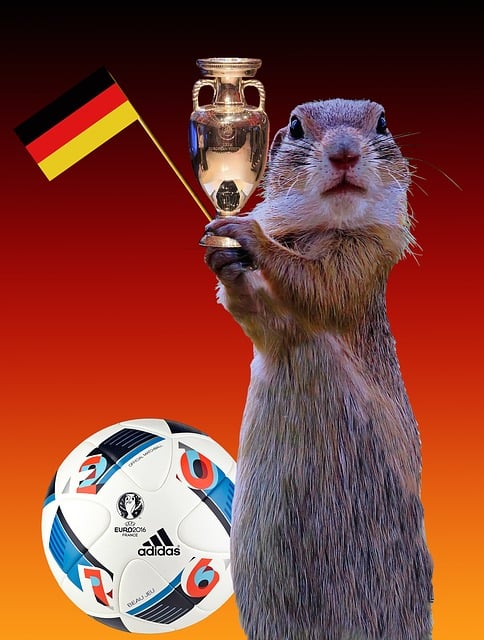 Free em 2016 germany flag cup illustration