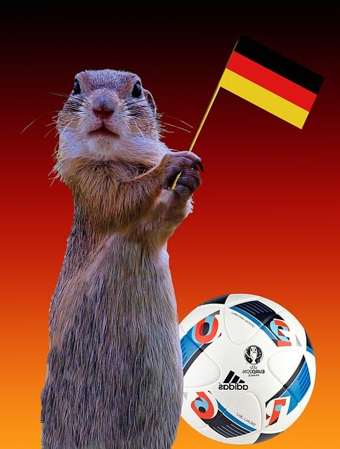 Free em 2016 germany flag european championship illustration