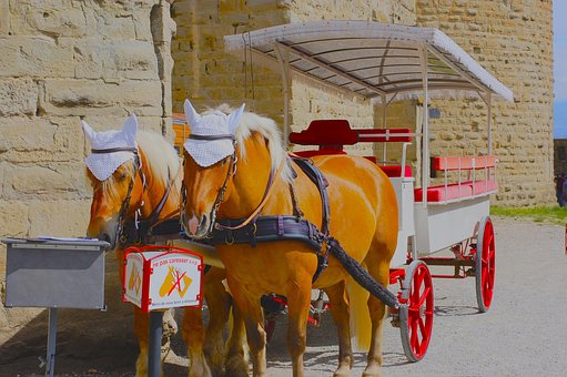 Free Carcassonne Horses photo and picture