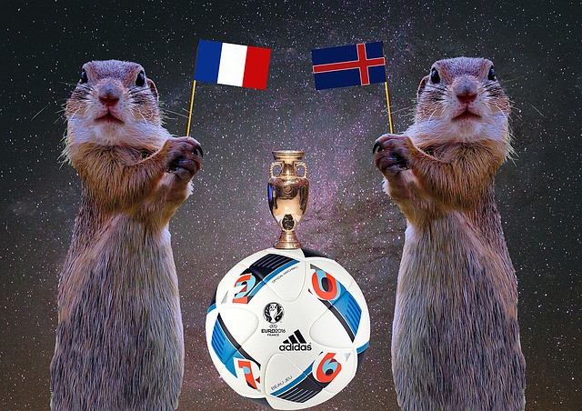 Free em 2016 quarterfinals soccer illustration