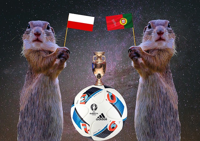 Free em 2016 quarterfinals soccer illustration