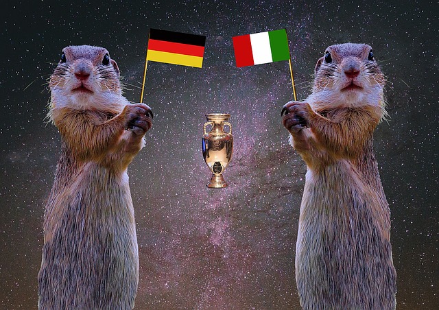Free em 2016 quarterfinals soccer illustration
