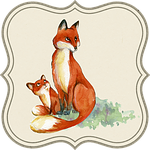 jackal, animal, baby