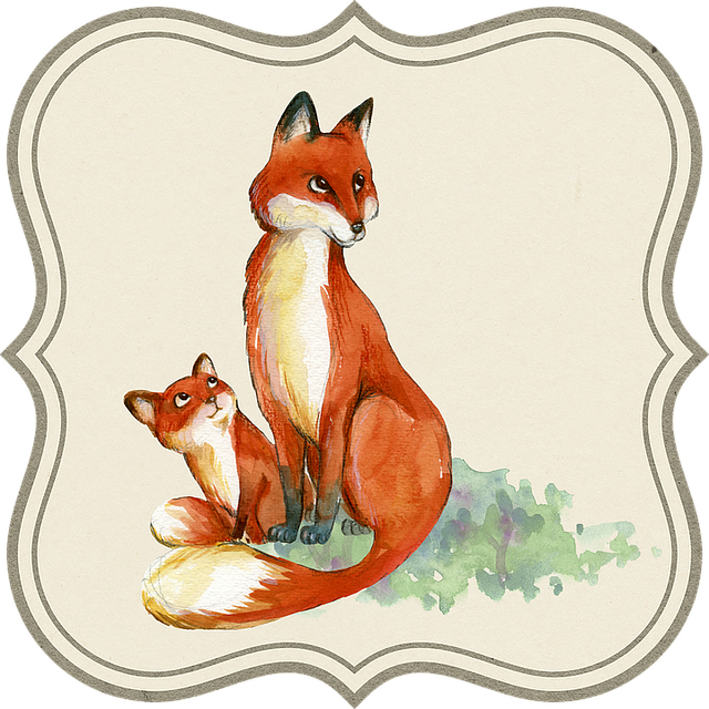 Schakal, Tier, Baby, Natur, Etikett