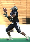 football, american football, player