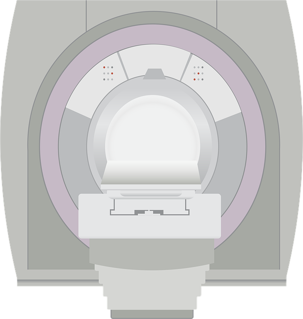 Free mri diagnostics process scanning illustration
