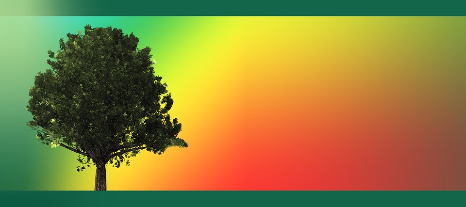 Abstract Background Tree Free Image On Pixabay Hd wallpaper download for ipad and iphone widescreen 2160p uhd 4k hd 16:9 16:10 1080p 720p. abstract background tree free image