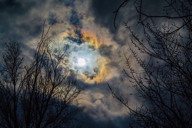 Natur, Træ, Blå, Sol, Himmel, Mørk, Sky