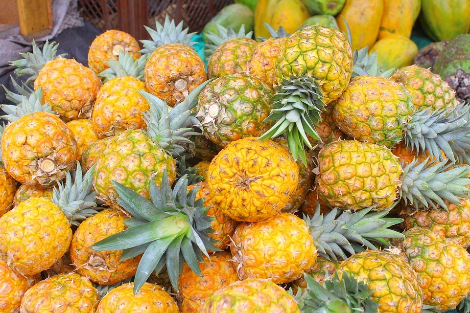 Pineapple Gallery Fruits - Free photo on Pixabay