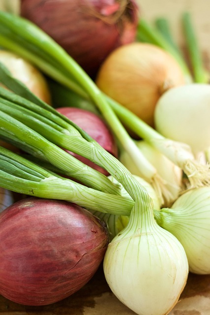 Ceapă, Vegetal, Primăvară