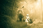 fairy tales, fuchs, goose