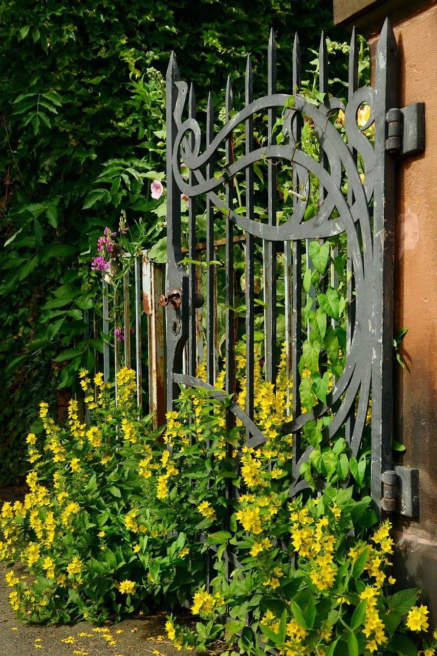 Gate Iron Old - Free photo on Pixabay - Pixabay