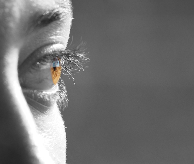 Free Eyes Face photo and picture