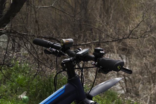 Bicicletă, Drum, Sport, Stradă, Plimbare