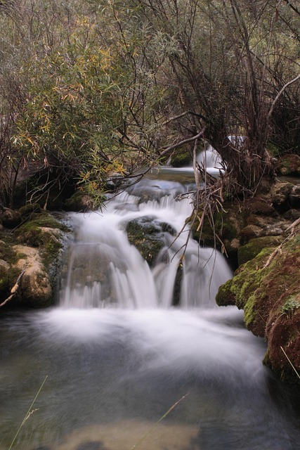 Free River Nature photo and picture