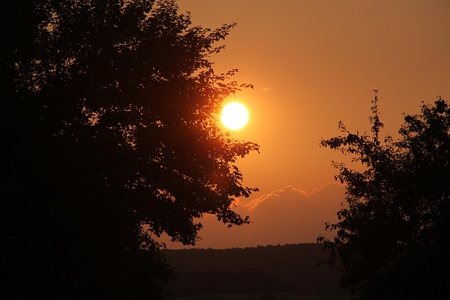 Free Sunset Orange photo and picture