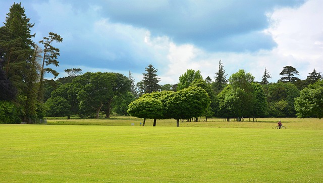 Park Parklandschaft Englischer - Kostenloses Foto auf Pixabay - Pixabay