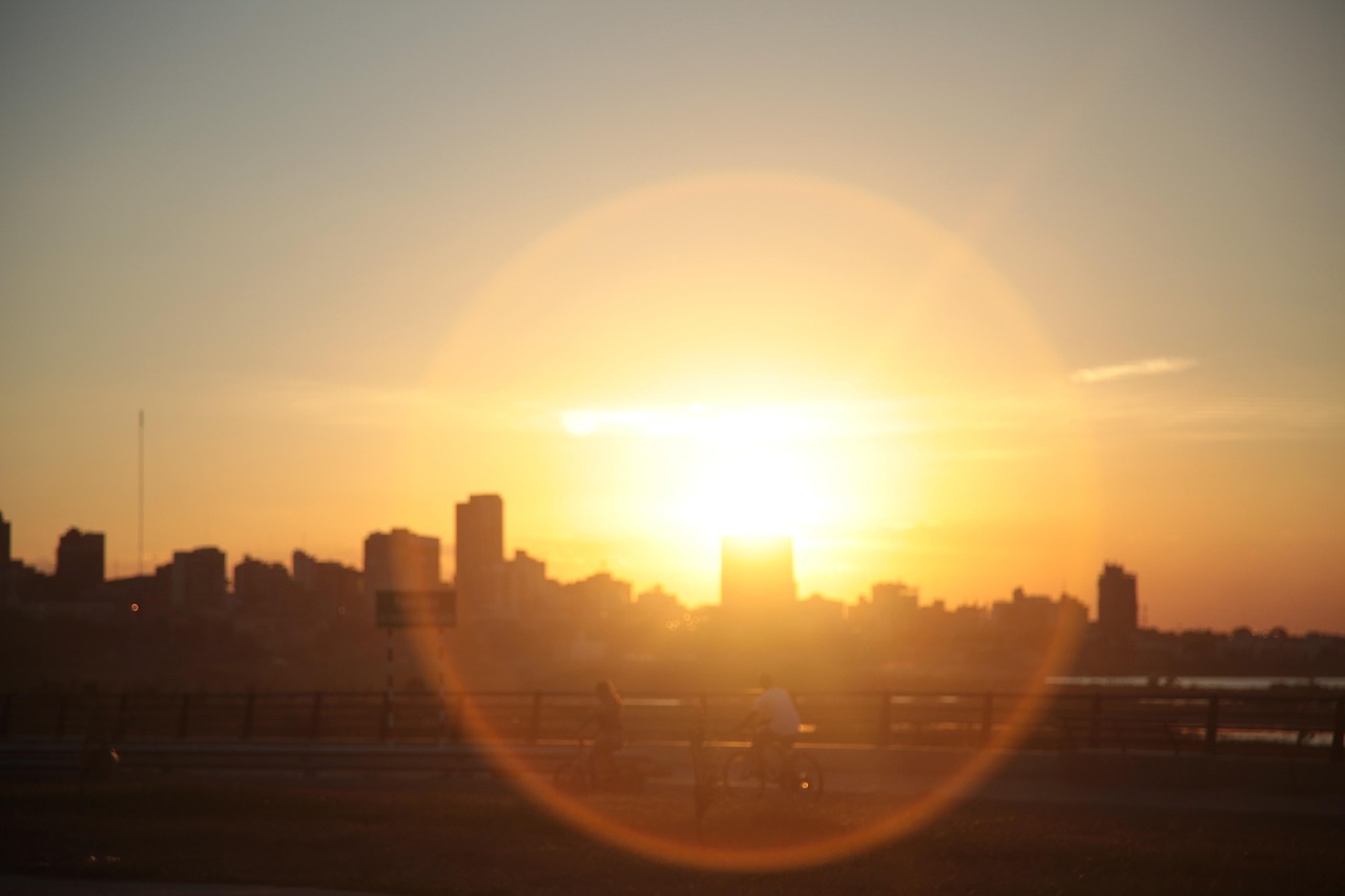 Backlight Sun Sun Backlight Silhouette - Free photo on Pixabay - Pixabay