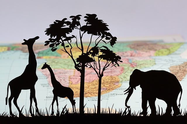 Download free HD stock image of Africa Silhouette Free africa silhouette laser cut illustration