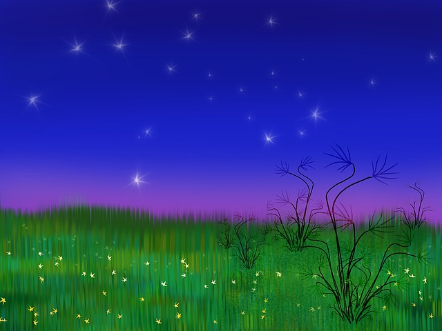 Landschaft, Malen, Nacht, Beginnt
