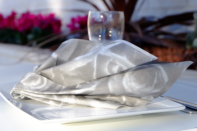 Free Napkin Non Woven photo and picture