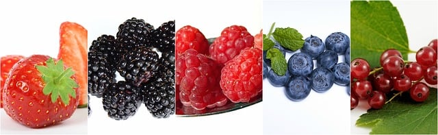 Free berries berry collage illustration