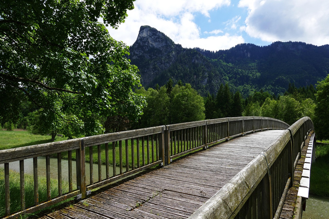 Bridge Web Boardwalk - Free photo on Pixabay - Pixabay