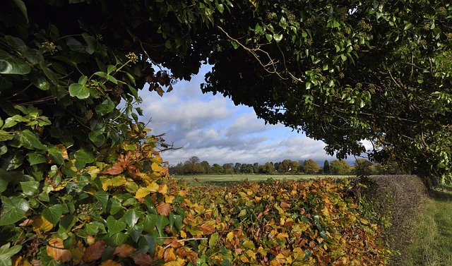 Engeland, Stil, Landelijk, Oud