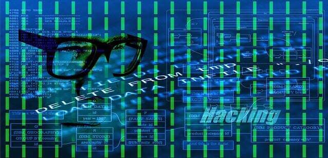 Hacker, Www, Binair, Internet, Code