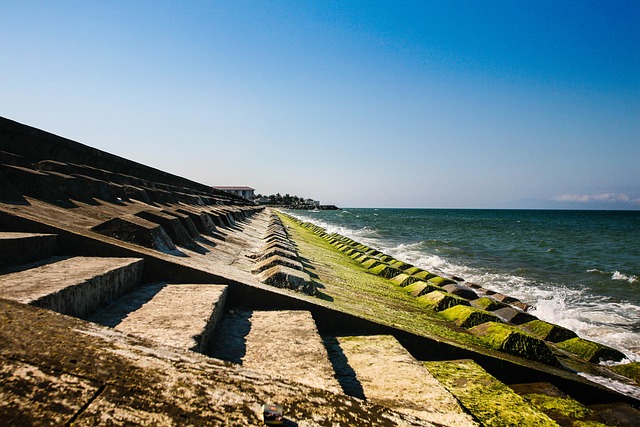 Free Cua Dai Beach Hoi An Beach photo and picture