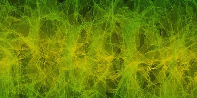 Free green lime lemon illustration