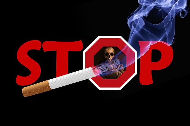 Free skull and crossbones skull stop illustration