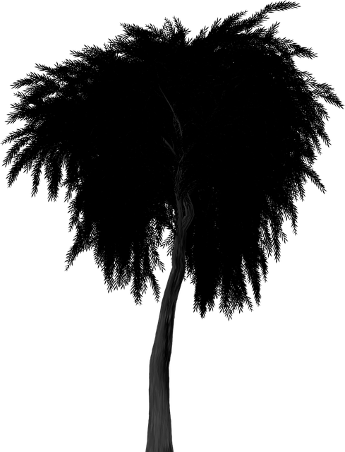 Free silhouette weeping willow tree illustration