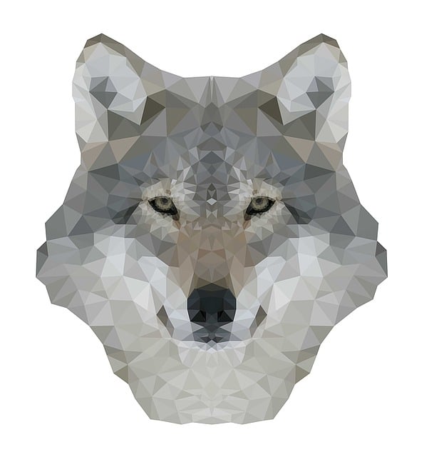 Download free HD stock image of Wolf Winter Free wolf winter nature illustration