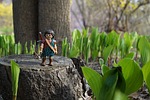 playmobil, forest, the highlander