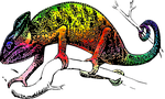 lizard, chameleon, animal