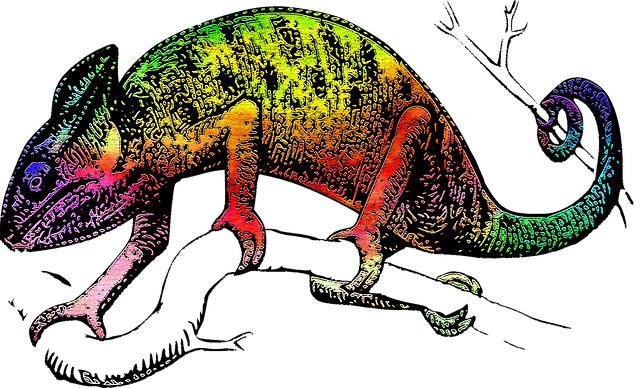 Download free HD stock image of Lizard Chameleon Free lizard chameleon animal illustration