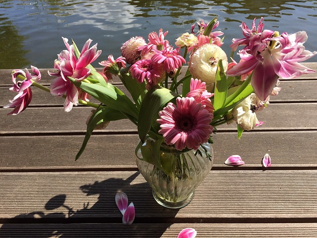Free Nature Flower photo and picture