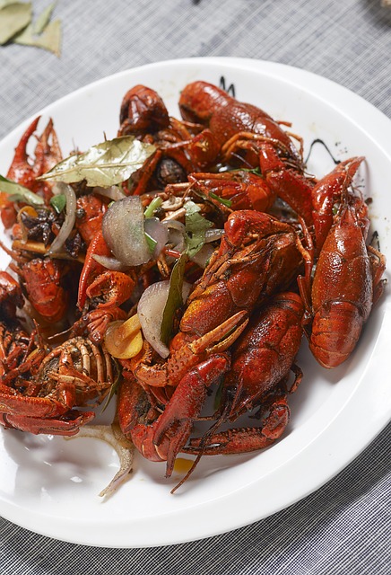 Free Crayfish Shoot photo and picture
