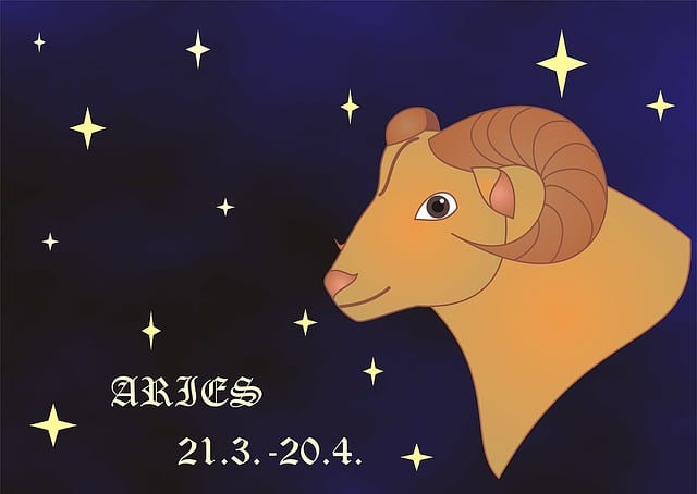 Free horoscope sign zodiac illustration