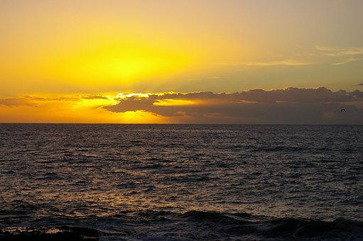 Solnedgang, Natur, Beach, Tenerife